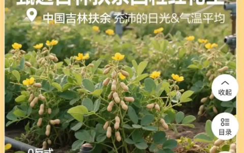 良品铺子就“花生上树”致歉：系错误使用AI生成图片