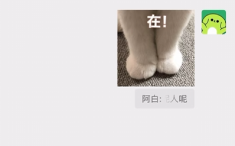 微信宣布新功能上线 聊天引用部分文字功能来了