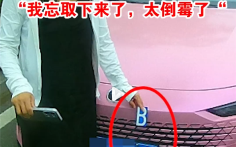变造号牌“8变B”被抓现行 女司机：忘取下了 太倒霉了