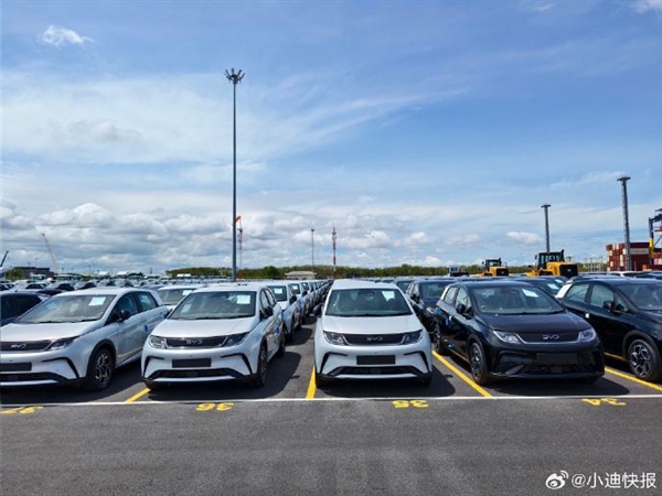 比亚迪泰国工厂首次出口电动车至欧洲 近千辆海鸥列阵太壮观