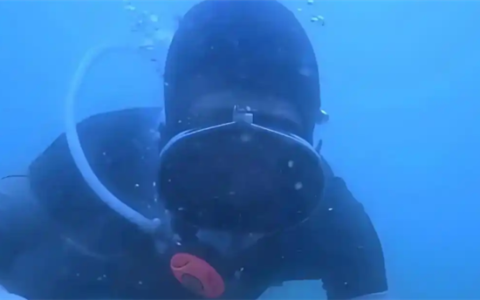 十年难遇！青岛海螺大爆发 潜水员3小时赚3500