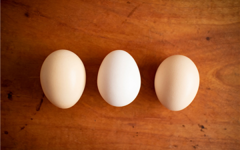 “鸡蛋储存前要清洗”系误读：不清洗更有助于长时间保存