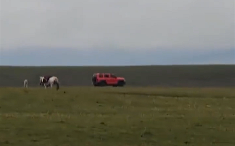 坦克300碾压草原被拦截时加速逃窜 牧民痛心：草长起来不容易