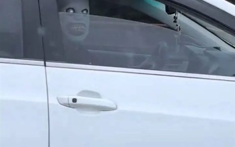 官方通报高速有人戴恐怖面具惊吓过路车辆：已批评教育