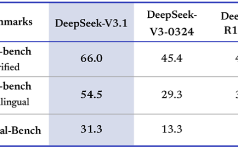 DeepSeek宣布V3.1正式发布：思考效率更高 迈向Agent时代第一步