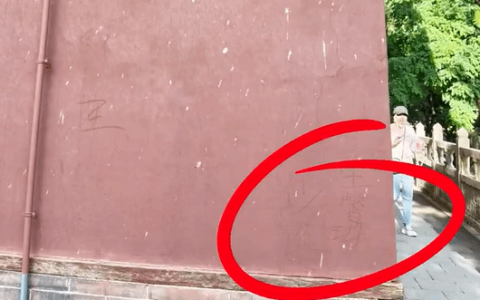 太嚣张了！《黑神话：悟空》取景地被刻字 网友：必须严惩