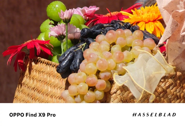 OPPO Find X9 Pro核心配置曝光：天玑9500+2亿潜望