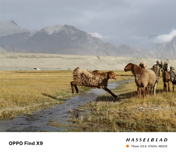 OPPO Find X9 Pro核心配置曝光：天玑9500+2亿潜望