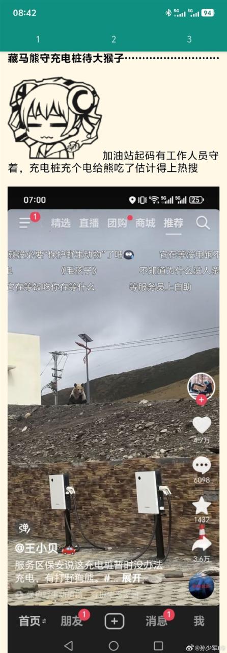 高速服务区充电桩被告知无法使用：因为有只狗熊一直守着