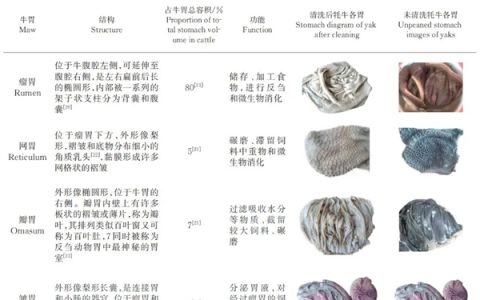 吃火锅涮毛肚 “七上八下”靠谱吗