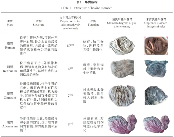 吃火锅涮毛肚 “七上八下”靠谱吗