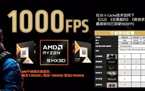 千帧电竞！AMD：9000X3D可在多款游戏实现1000FPS
