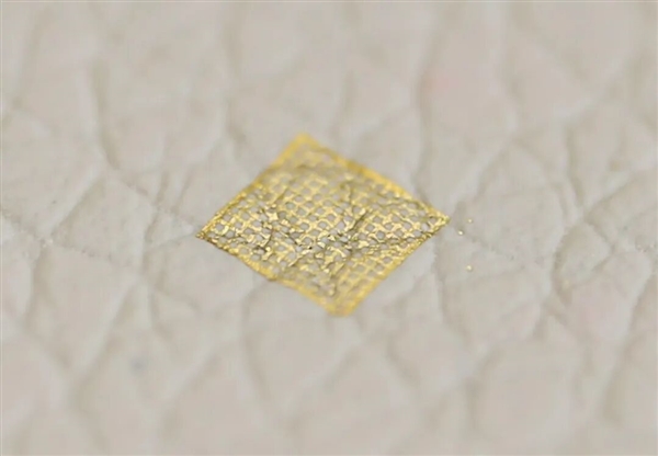 中科院新突破：只要一滴水 超薄硅基电子膜完好贴在大脑皮层上