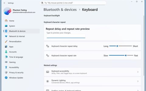 微软去控制面板化征程继续：更多键盘选项进入Windows 11设置