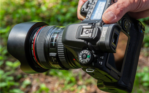 丢了三个月的相机竟在闲鱼刷到 网友与警方联手“破案”