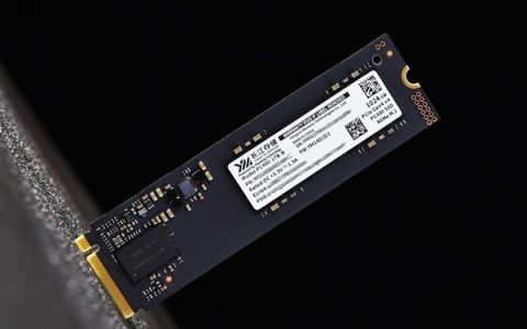 长江存储PC450固态硬盘评测 青出于蓝而胜于蓝