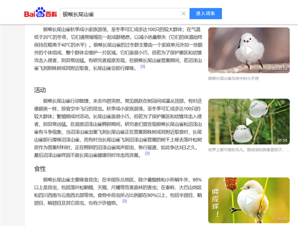 浑身圆滚滚 世界最萌小鸟之一！看完心情能好一整天