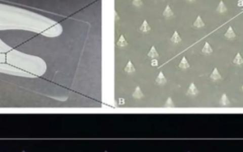 韩国开发出一种智能贴片：3D打印形成 7天内可消除青春痘