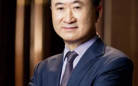 曾是全球华人首富！王健林突然被限高 万达知情人士：或因执行层面信息不对称导致