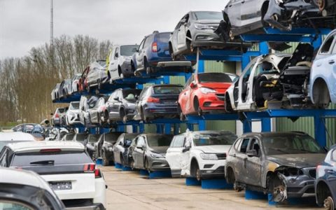 宝马CEO：欧盟2035年禁止燃油车 是重大错误