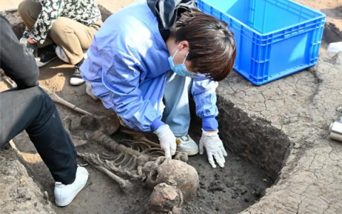 中国最早！河南贾湖遗址发现8000多年前木棺