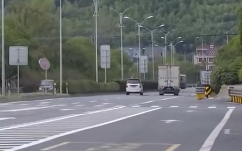 货车撞死狗后二次事故致老人丧命：司机被判次要责任