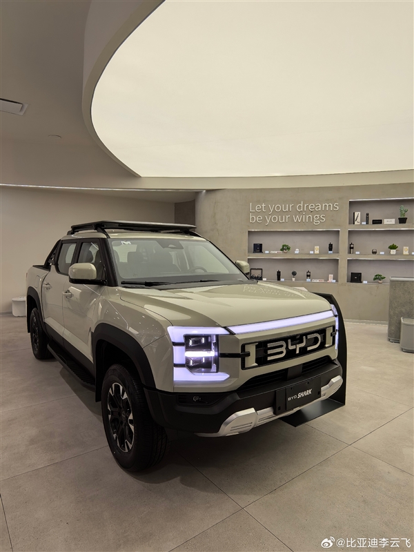 李云飞：比亚迪SHARK皮卡迟早在国内上市 已在规划中