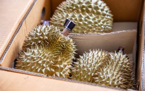 误当成燃气泄漏 德国消防队因榴莲味一天四次出警