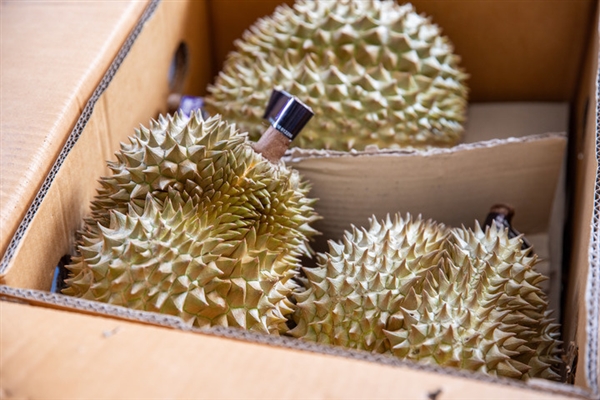 误当成燃气泄漏 德国消防队因榴莲味一天四次出警