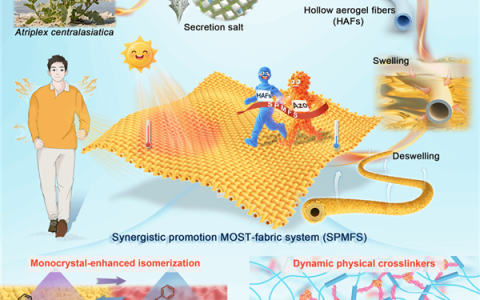 天津大学研发出神奇织物：光照12秒就能升至40℃