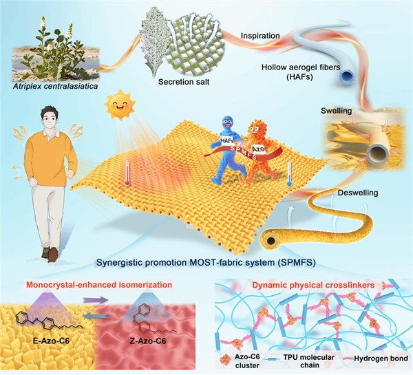 天津大学研发出神奇织物：光照12秒就能升至40℃