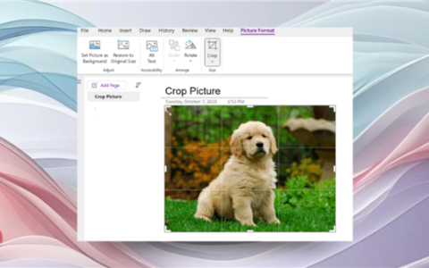 用户期待已久！微软OneNote终于迎来图片裁剪功能