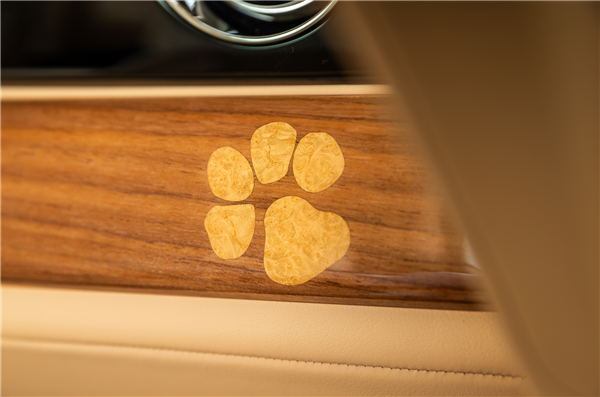 狗都有劳斯莱斯了！一客户为爱犬定制特别版闪灵：真开眼