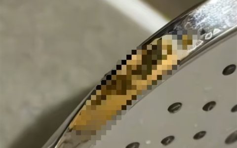 全季酒店花洒上出现粪便 客房经理：无法换房 清洗下继续住