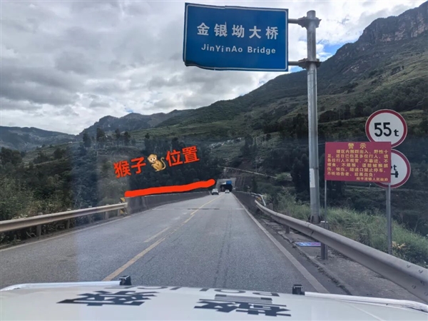 男子路边停车休息遭野猴入车袭击：被动物抓伤需做好“三防”