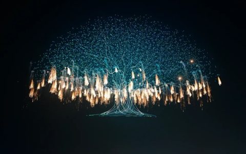 浏阳无人机烟花秀破世界记录 马斯克转发相关视频