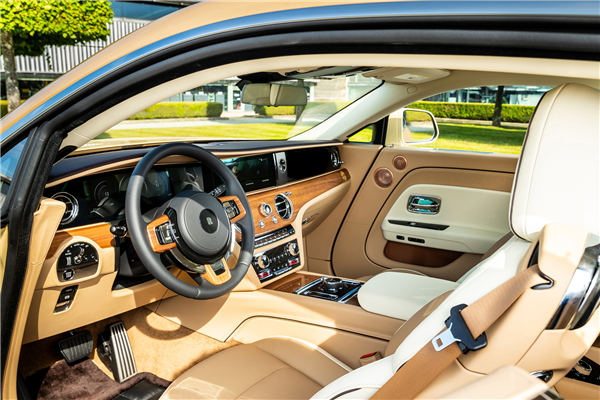 狗都有劳斯莱斯了！一客户为爱犬定制特别版闪灵：真开眼