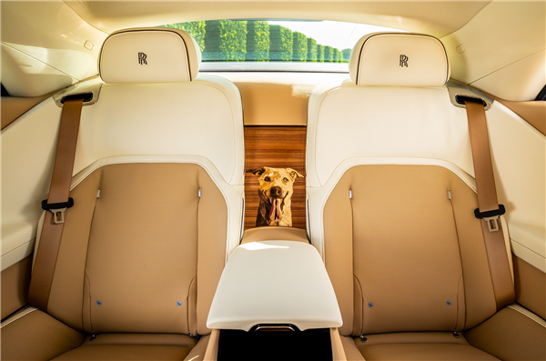 狗都有劳斯莱斯了！一客户为爱犬定制特别版闪灵：真开眼