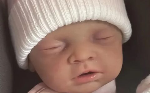 国外女子精心打造怀孕骗局 用重生娃娃假冒婴儿