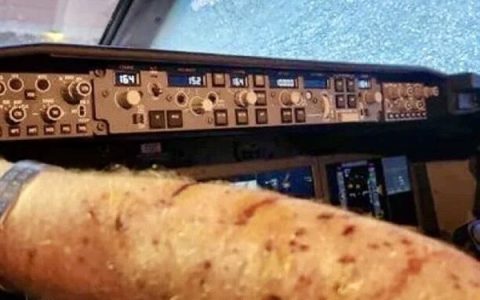 史上第一次！飞机被天外来客砸中 无奈迫降