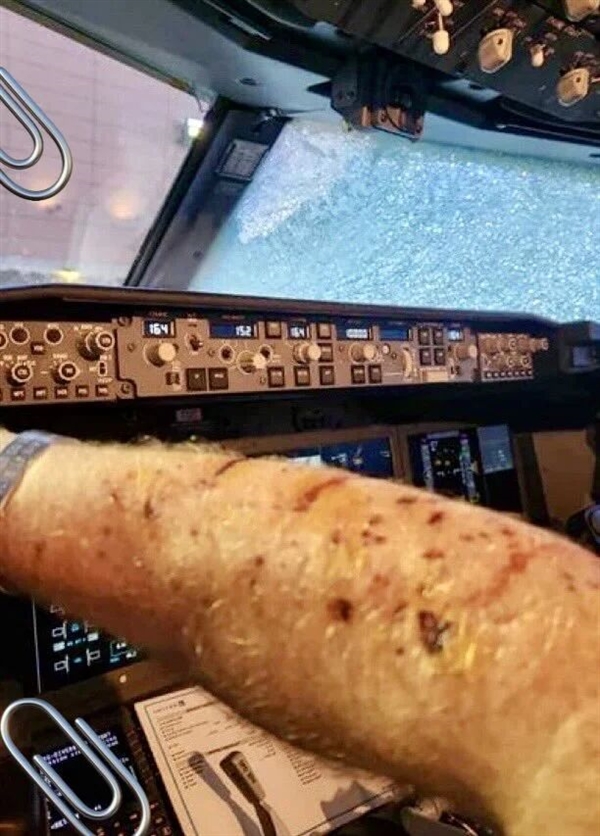 史上第一次！飞机被天外来客砸中 无奈迫降