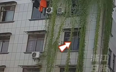 浙江一居民楼出现空心菜“瀑布” 从5楼挂到1楼