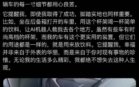 完美体现特斯拉DNA！网友从廉价版Model Y后排杯架悟出人生哲理