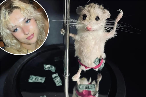 欧洲最怪博物馆：507只青蛙标本摆出人类姿势