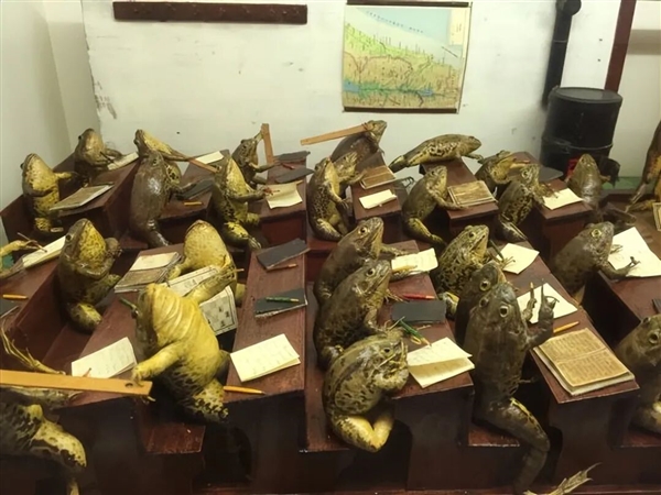 欧洲最怪博物馆：507只青蛙标本摆出人类姿势