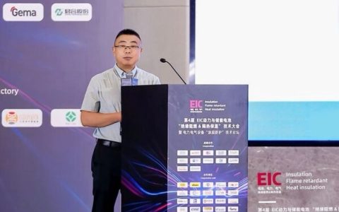 立邦中国IU事业群IC事业部电力客户部经理许大轶出席大会并演讲