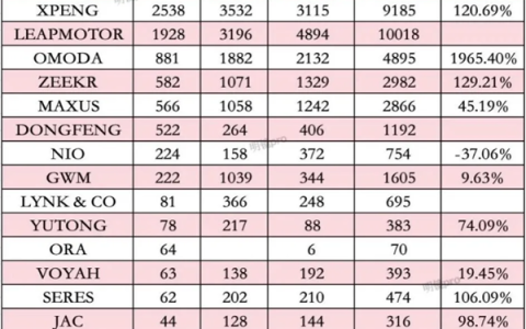中国新能源车反攻欧洲市场：比亚迪第一 零跑暴涨超百倍