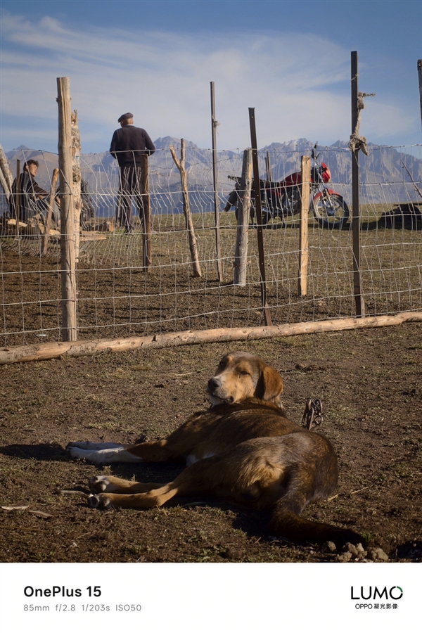 一加哈苏合作结束：一加15首次搭载OPPO LUMO凝光影像