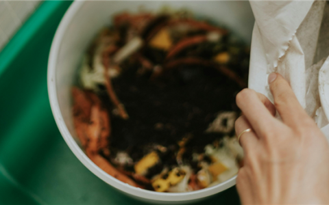 有望减少塑料污染！新研究用食物垃圾开发出天然薄膜