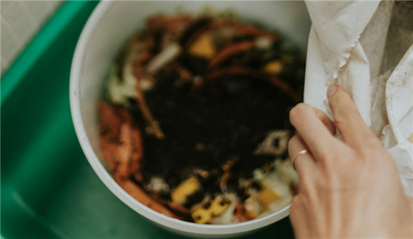 有望减少塑料污染！新研究用食物垃圾开发出天然薄膜